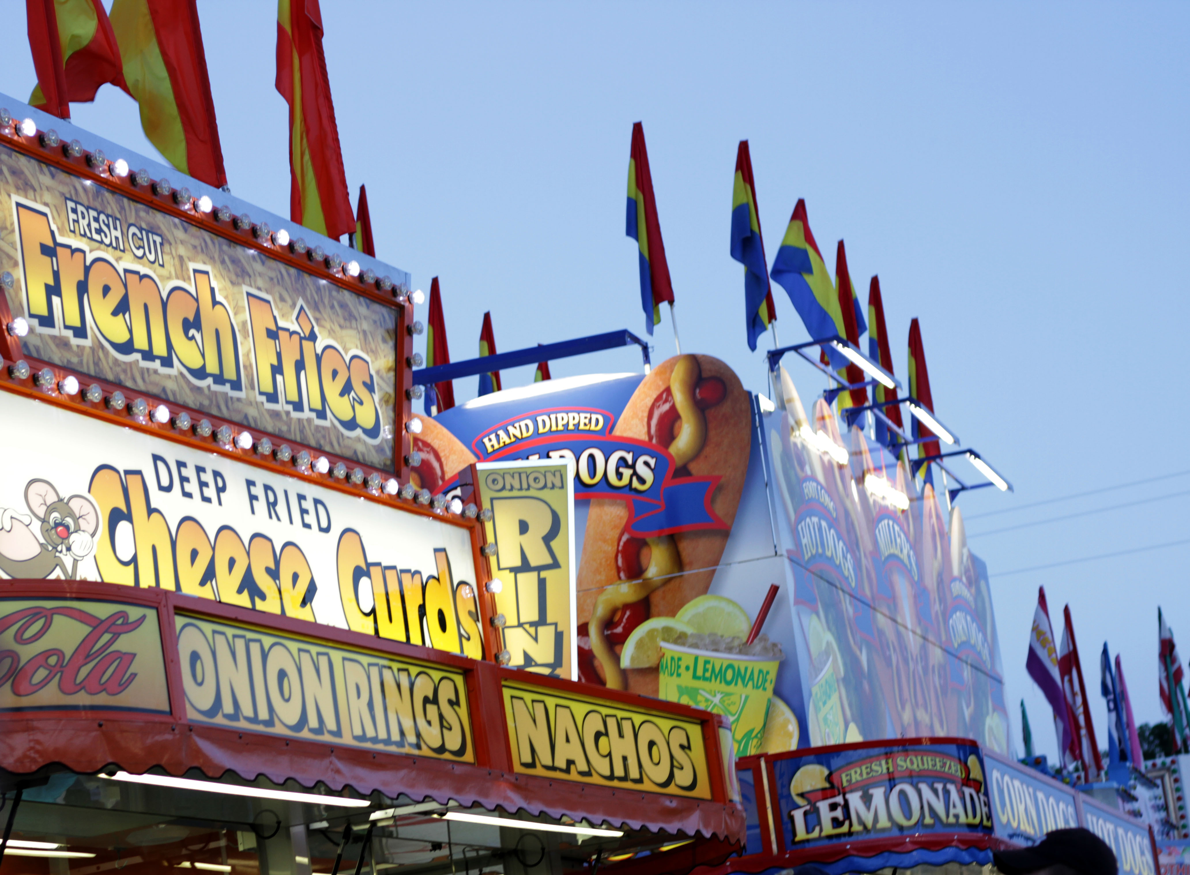 IMG_3741 – Winona County Minnesota Fair